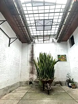 oliver price1 online show from September 26, 7:07 pm