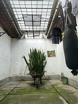 oliver price1 online show from February 17, 3:08 pm